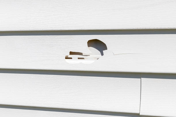 Best Foreclosure Cleanout  in Town And Country, MO